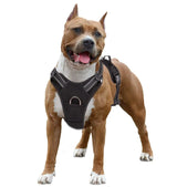 Cecuca Mesh Padded Dog Harness | Adjustable Sport Vest for Medium Large Dogs
