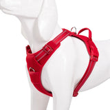 Cecuca Mesh Padded Dog Harness | Adjustable Sport Vest for Medium Large Dogs