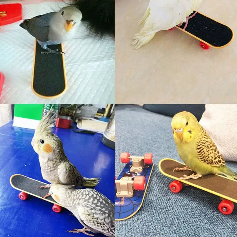 Cecuca Parrot Training Set: Mini Cart, Rings, Skateboard, Stand, Perch Toy