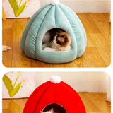Cecuca Cozy Pumpkin Cat/Dog Nest - All Seasons Warmth & Comfort 2023