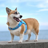 Cecuca Truelove Dog Harness with Soft Handle and Reflective Design