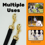 Cecuca Adjustable Small Pet Harness and Leash Set for No Pull Walking