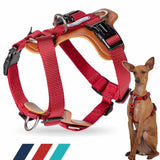 Cecuca Leather Dog Harness for Easy Walking, Adjustable Vest for Small, Medium, Large Dogs