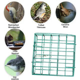 Cecuca Outdoor Bird Feeder for Woodpeckers and Songbirds