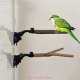 Cecuca Bird Cage Perch Stand Toy for Parrots Conures Lovebirds Cockatoos