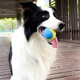 Cecuca Soft TPR Squeaky Dog Ball - Interactive Toy for Teeth Cleaning and Fun