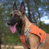 Cecuca Reflective Dog Harness for Anti Pull Training & Exercise