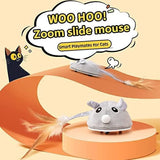 Cecuca Feather Wand Interactive Cat Toy with Smart Sensing Mouse - Atuban Mice