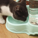 Cecuca Large Capacity Cat Pet Automatic Feeder and Drinking Bowl