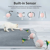 Cecuca Interactive Smart Robotic Cat Toy with Feather, USB Rechargeable Ball