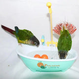Cecuca Bird Spa: Automatic Bird Bath Tub with Fountain Pump