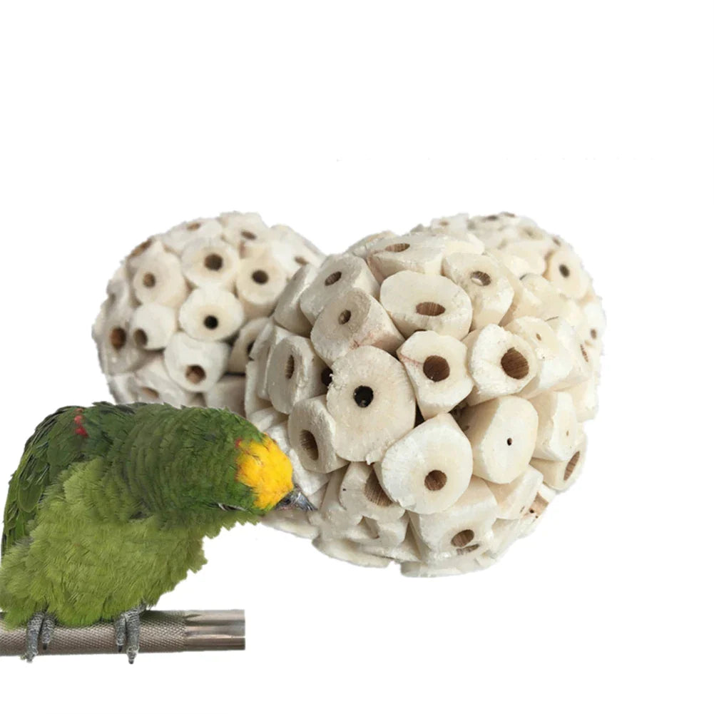 Cecuca Bird Chew Toys Set for Cockatiels - Natural Foraging and Play Items