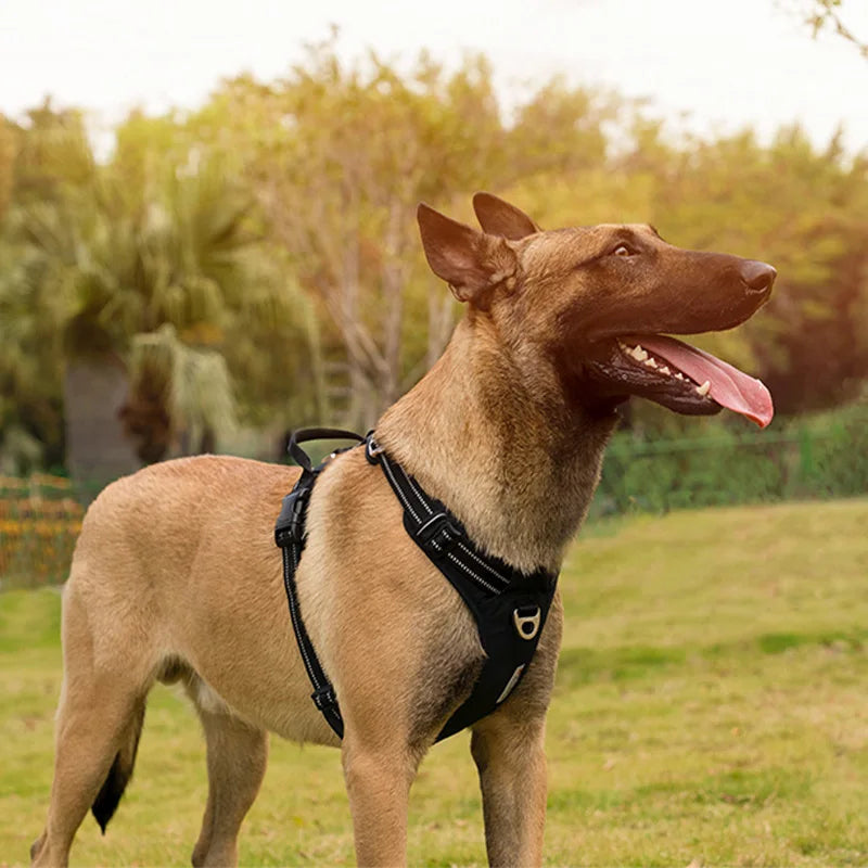 Cecuca Pet Harness: Adjustable, Lightweight, Reflective, Comfortable for Dogs