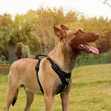 Cecuca Pet Harness: Adjustable, Lightweight, Reflective, Comfortable for Dogs