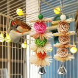 Cecuca Bird Chew Toys: Colorful Foraging Toys for Small Parrots