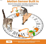 Cecuca Irregular Motion Cat Toy - Interactive Self Play Stimulates Senses